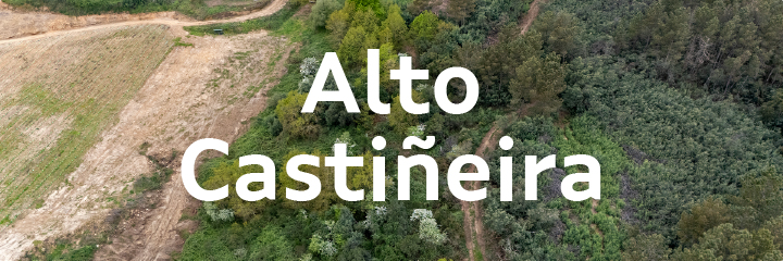 Polígono agroforestal de Alto Castiñeira