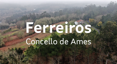 Ferreiros