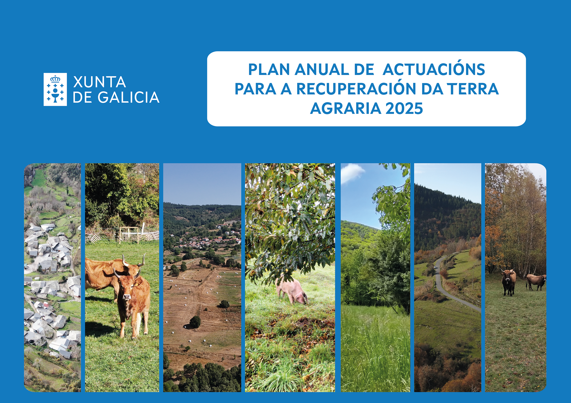 Plan anual 2025