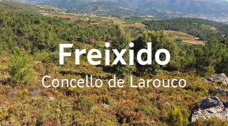 Polígono agroforestal de Freixido